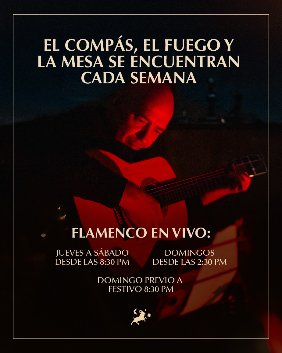 FLAMENCO EN VIVO