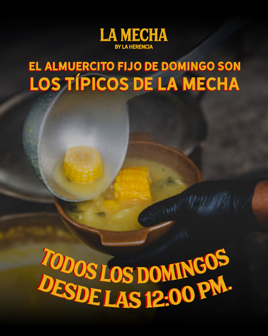 DOMINGOS DE TIPICOS